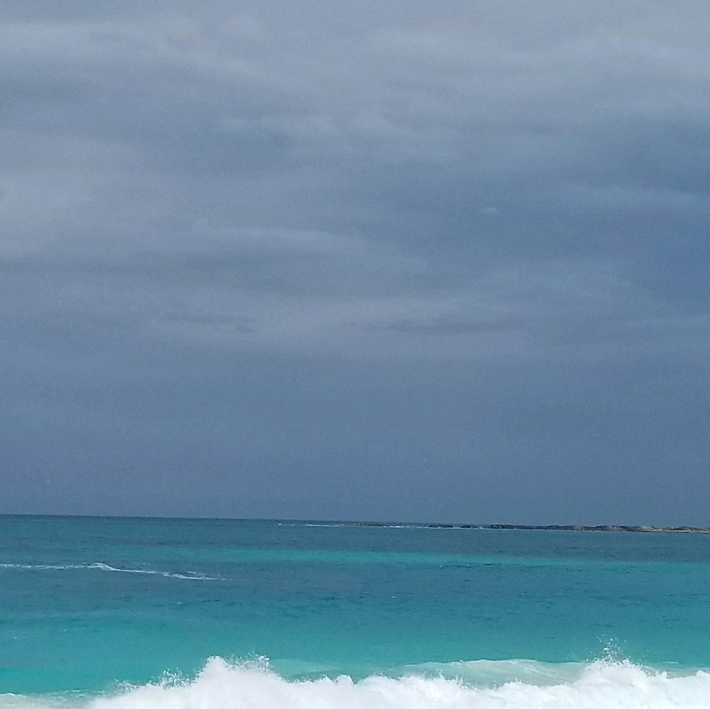 Meet your Posher, Tashina